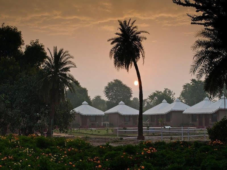 Lohana Village Resort Pushkar Luaran gambar